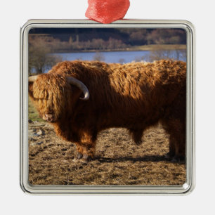 Highland Cattle Bull, Schottland Ornament Aus Metall