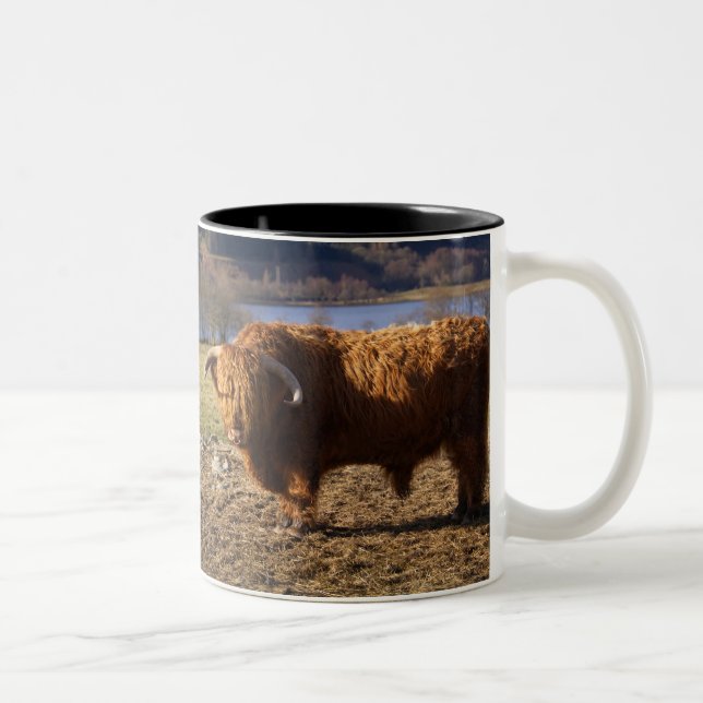 Highland Cattle Bull, Schottland Zweifarbige Tasse (Rechts)