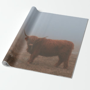 HIGHLAND CATTLE COW GESCHENKPAPIER