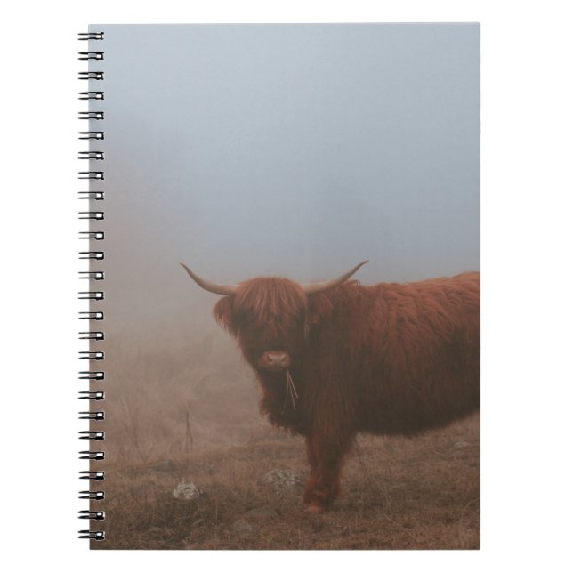 HIGHLAND CATTLE COW NOTIZBLOCK (Vorderseite)