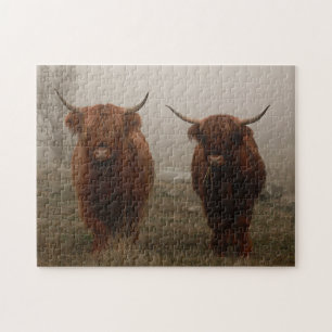 Highland Cattle Fog Foto Puzzle