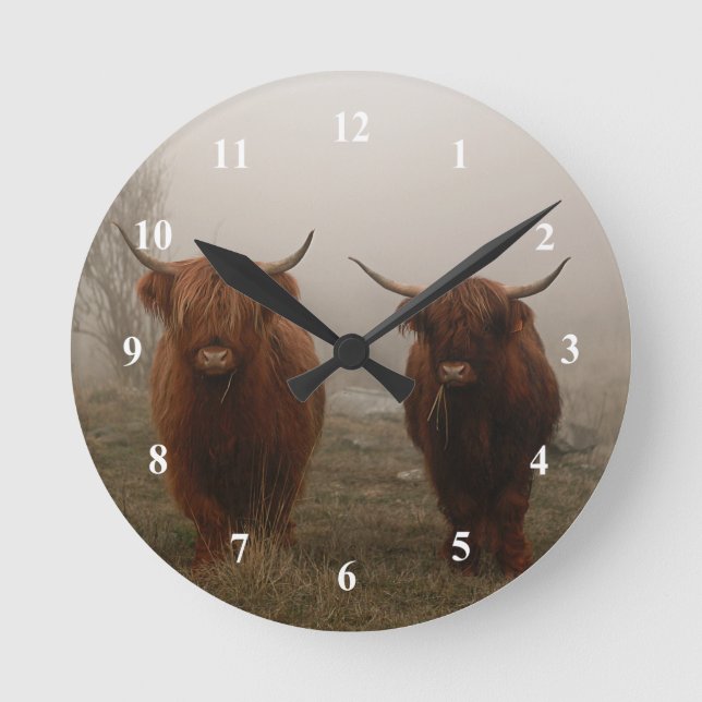 Highland Cattle Fog Foto Runde Wanduhr (Vorderseite)