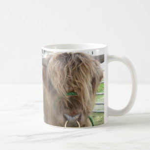 Highland Cattle Tasse