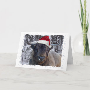 Highland Cattle Weihnachtskarte Feiertagskarte