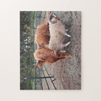 Highland Coos and Sheep Jigsaw Puzzle