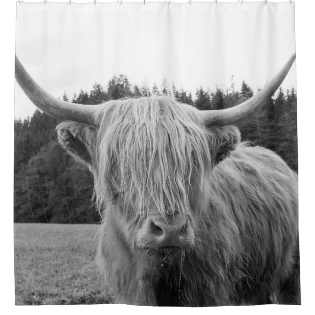 Highland Cow #6 #wall #art Duschvorhang (Vorderseite)