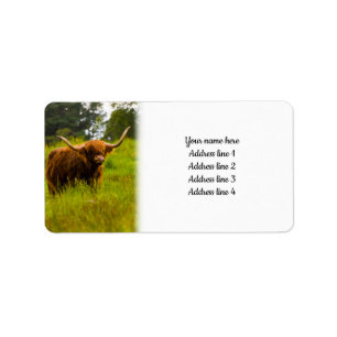 Highland Cow Adressaufkleber