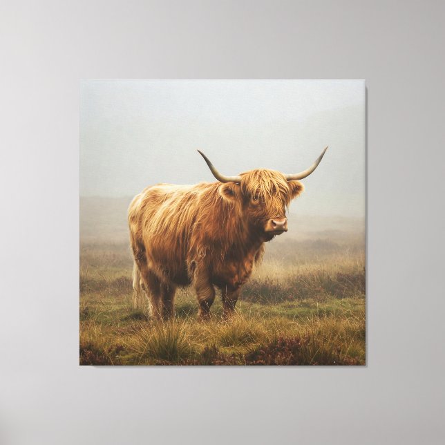 Highland Cow auf DAWN Leinwanddruck (Vorderseite)