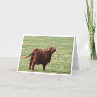 Highland cow Birthday card Dankeskarte