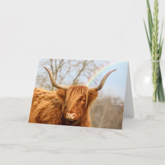 Highland Cow Birthday Card Karte