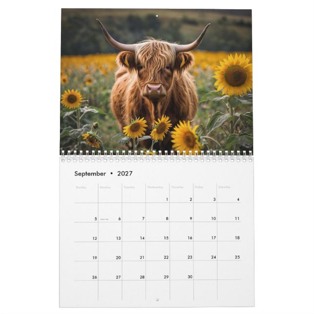 Highland Cow Calendar Kalender (Sep 2027)