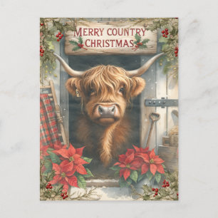 Highland Cow Christmas Postkarte