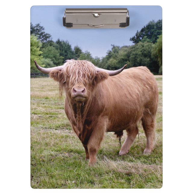 Highland Cow Clipboard Klemmbrett (Vorderseite)