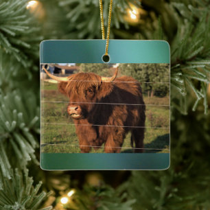 Highland Cow Foto Keramikornament