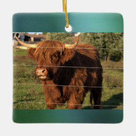 Highland Cow Foto Keramikornament