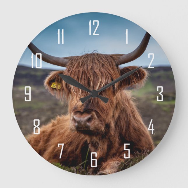 Highland Cow Große Wanduhr (Vorderseite)