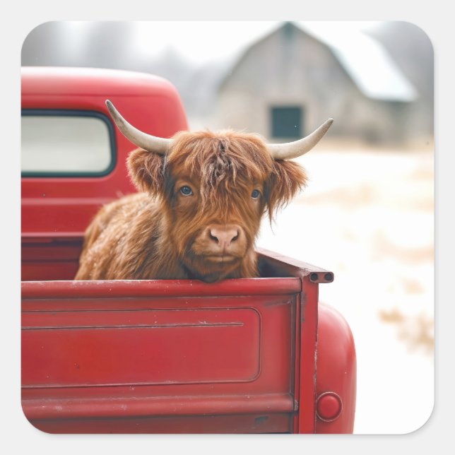 Highland Cow In a Red Retro Pickup Truck Quadratischer Aufkleber (Vorderseite)