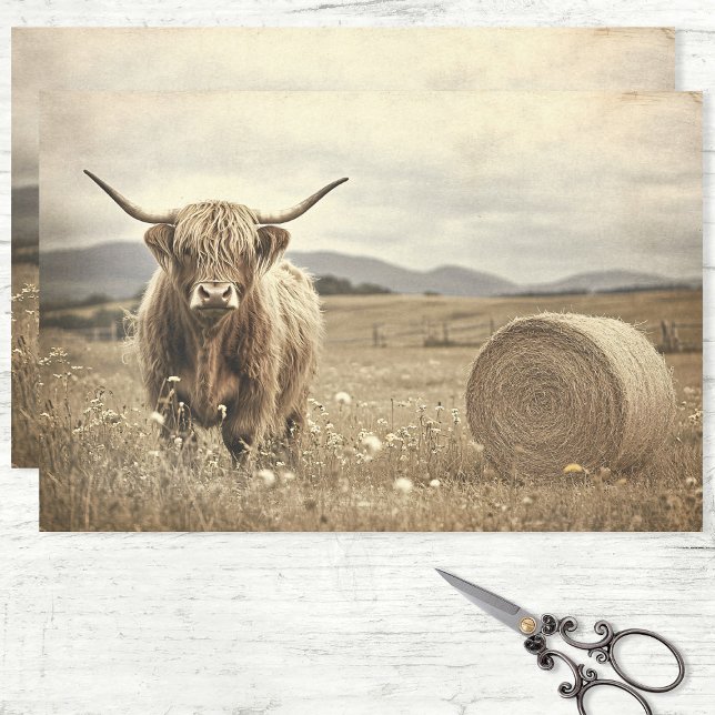 Highland Cow in Hay Field Decoupage Seidenpapier (Von Creator hochgeladen)