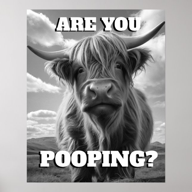 Highland Cow Kacke Sie Toilette Potty Spaß Poster (Vorne)