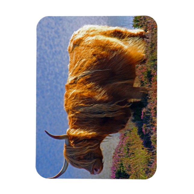 Highland Cow Magnet (Vertikal)