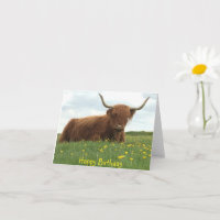 Highland Cow Meadow Birthday Card