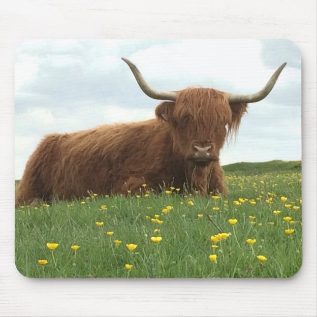 Highland Cow Mousepad (Vorne)