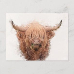 Highland Cow Portrait Feiertagspostkarte