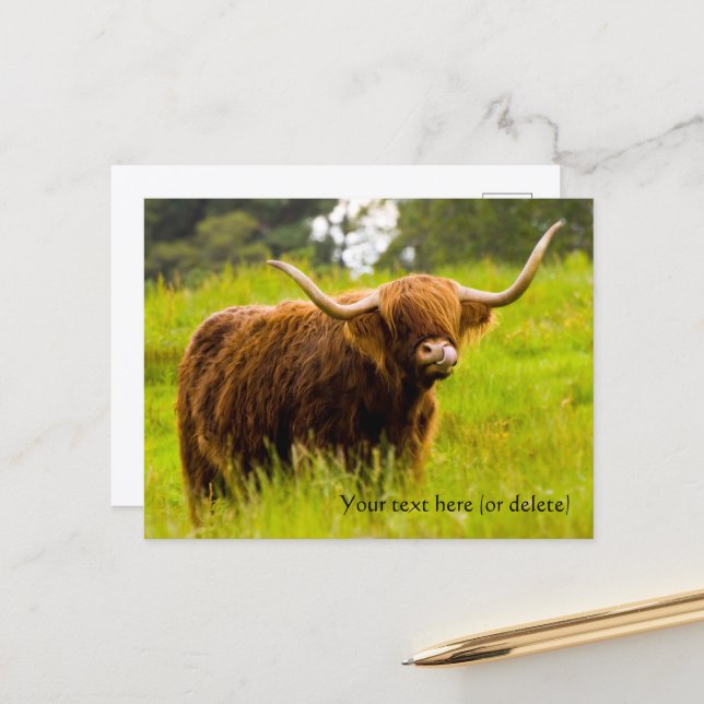 Highland Cow Postcard Postkarte (Vorderseite/Rückseite Beispiel)