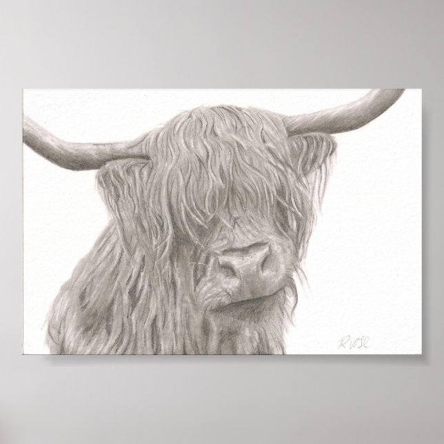 Highland Cow Poster (Vorne)