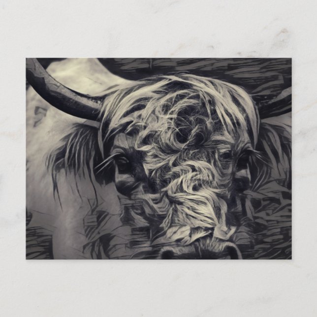 Highland Cow Postkarte (Vorderseite)