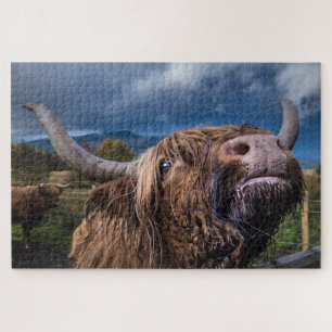 Highland Cow, Schottland Puzzle