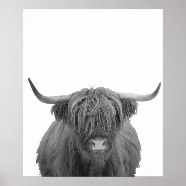 Highland Cow Schottland Rustikal Schwarz-weiß Poster (Vorne)