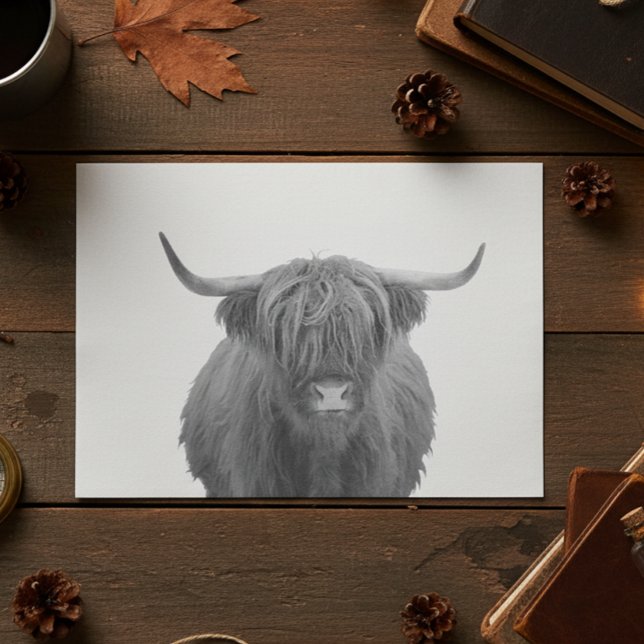 Highland Cow Schottland Rustikal Schwarz-weiß Seidenpapier (Von Creator hochgeladen)