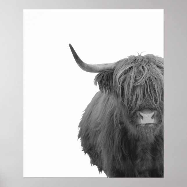 Highland Cow Schottland Rustikales Schwarz-weißes  Poster (Vorne)