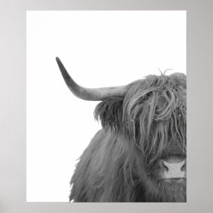 Highland Cow Schottland Rustikales Schwarz-weißes  Poster