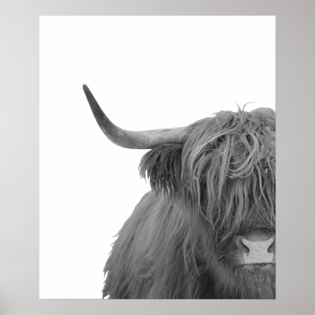 Highland Cow Schottland Rustikales Schwarz-weißes  Poster (Vorne)