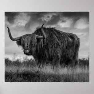 Highland Cow Scotland Rustic Brown Monoton Post Poster