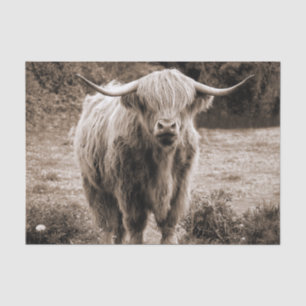 Highland Cow Scotland Rustic Brown Monoton Seidenpapier