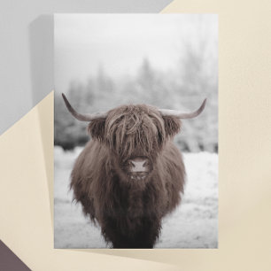 Highland Cow Scotland Rustic Farm Postkarte