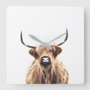 Highland cow scottish animal portrait quadratische wanduhr