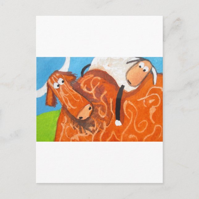 HIGHLAND COW SHEEP POSTKARTE (Vorderseite)