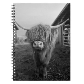 Highland Cow Spiral Notebook Notizblock