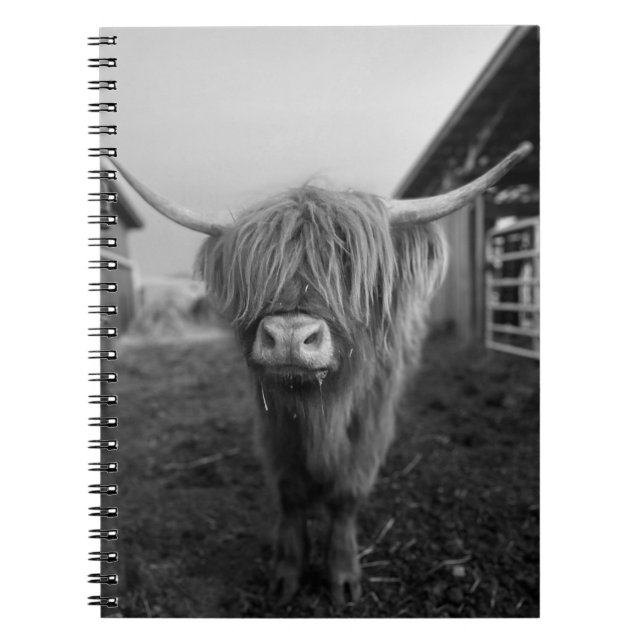 Highland Cow Spiral Notebook Notizblock (Vorderseite)