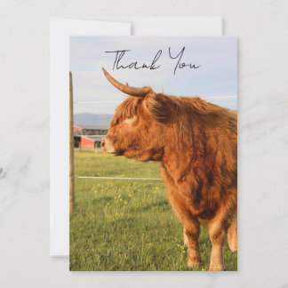 Highland Cow Thank You Card Dankeskarte