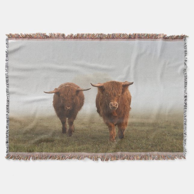 Highland Cow Woven Blanket Decke (Vorderseite)
