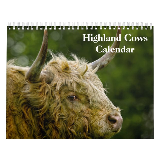 Highland Cows 2025 Calendar Kalender (Titelbild)