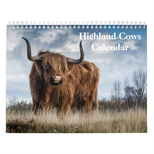 Highland Cows 2025 Calendar Kalender (Titelbild)
