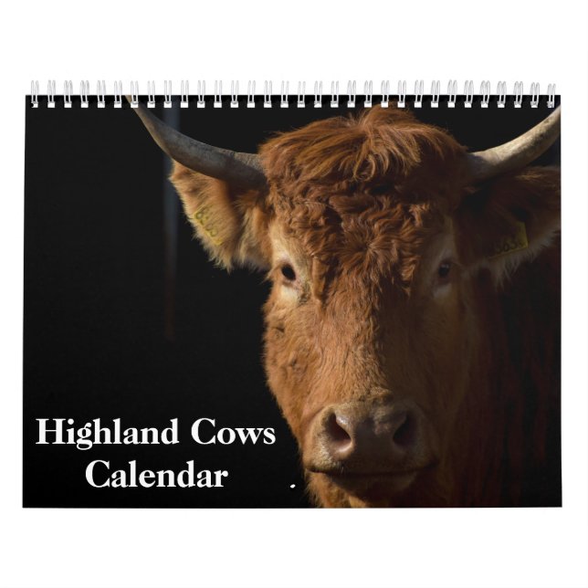 Highland Cows 2026 Calendar Kalender (Titelbild)