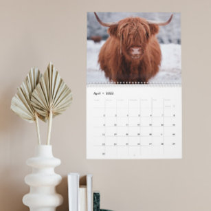 Highland Cows Farm Animal Schottland Kalender