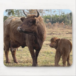 Highland Cows Mama und Baby Calf Turning Heads Mousepad